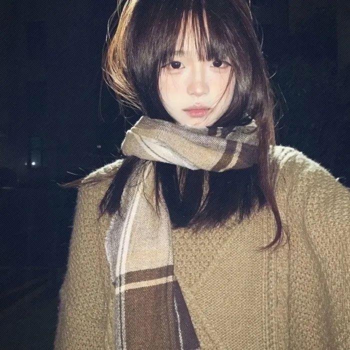 社会中坚